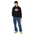 Dickies Icon Logo Synthetic Unisex Adults Black Hooded Sweatshirt