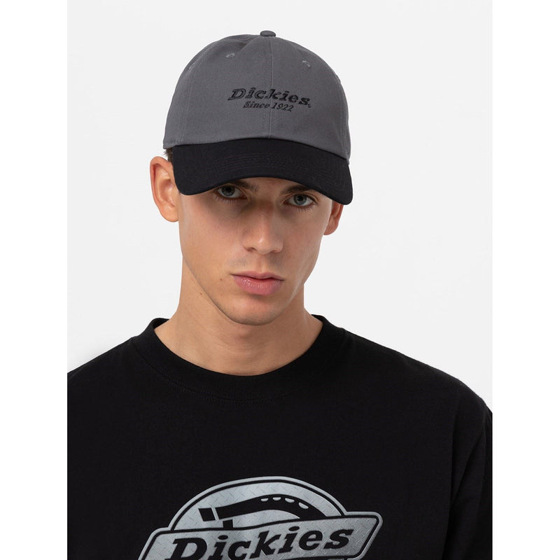 Dickies Everyday Dickies Twill Cotton Grey Baseball Caps