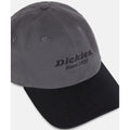 Dickies Everyday Dickies Twill Cotton Grey Baseball Caps