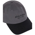Dickies Everyday Dickies Twill Cotton Grey Baseball Caps