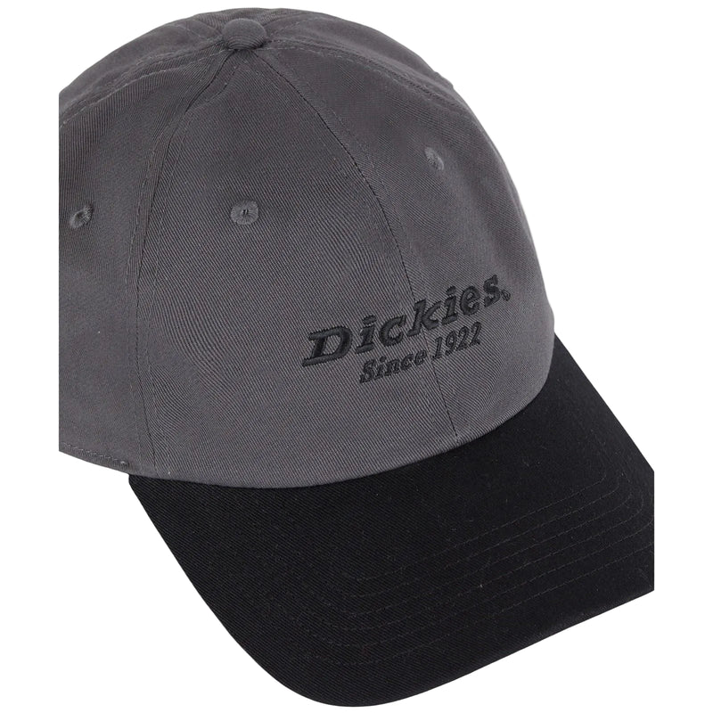 Dickies Everyday Dickies Twill Cotton Grey Baseball Caps