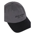 Dickies Everyday Dickies Twill Cotton Grey Baseball Caps
