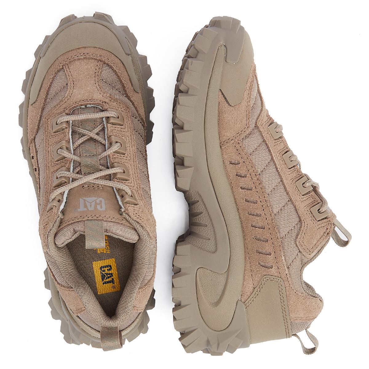 Caterpillar Intruder Fungi Trainers