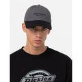 Dickies Everyday Dickies Twill Cotton Grey Baseball Caps