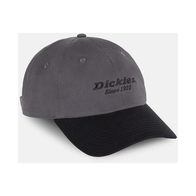 Dickies Everyday Dickies Twill Cotton Grey Baseball Caps