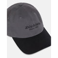 Dickies Everyday Dickies Twill Cotton Grey Baseball Caps